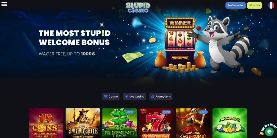 Stupid Casino accueil