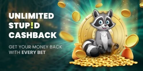 Stupid Casino bonus cashback